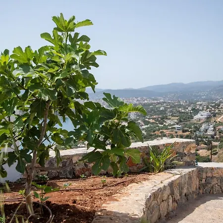 Miracle View Apartment